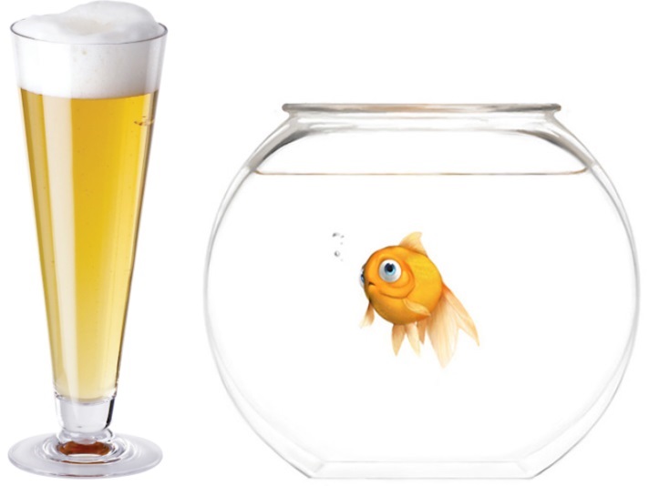 Ad ogni pesce la sua birra!