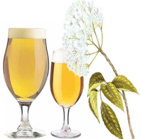 Birra ai fiori di sambuco: ricetta per gli homebrewers!