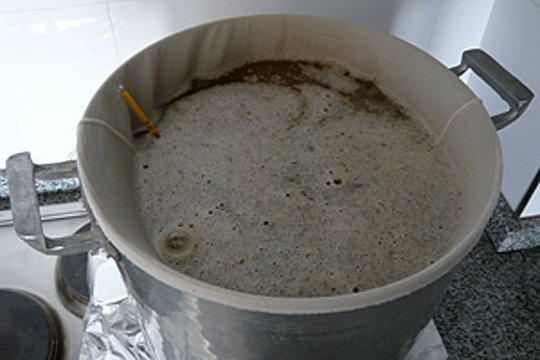 Metodo BIAB: il più pratico per l’homebrewing