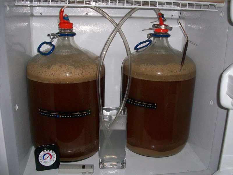 Homebrewing: come destreggiarsi in maniera “intelligente” tra i lieviti?