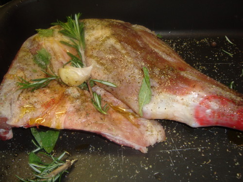 agnello