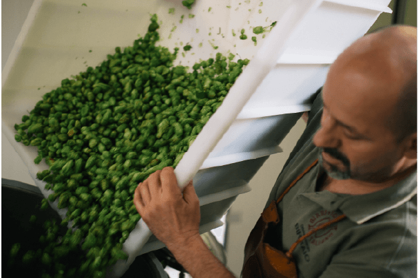Intervista a Agostino Arioli, mastro birrario del Birrificio italiano – parte 1