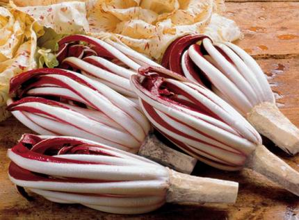 radicchio