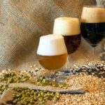 birra artigianale ingredienti