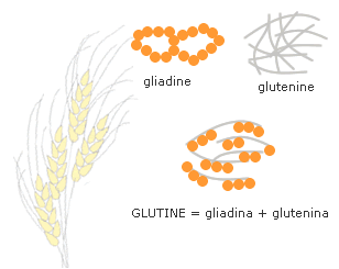 Birra & glutine: le analisi di laboratorio per testarne la presenza