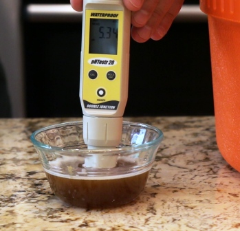 Il pH in homebrewing: perché e come controllarlo