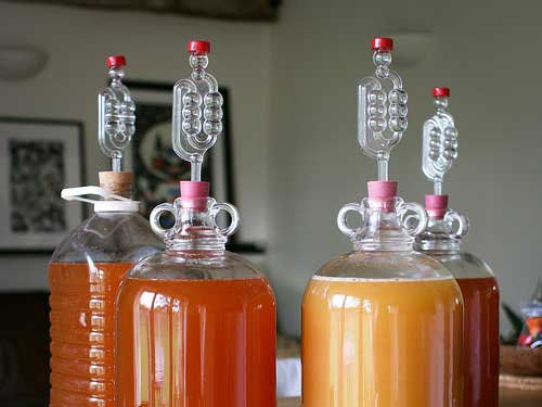 Basse fermentazioni per gli homebrewers: alcuni consigli!