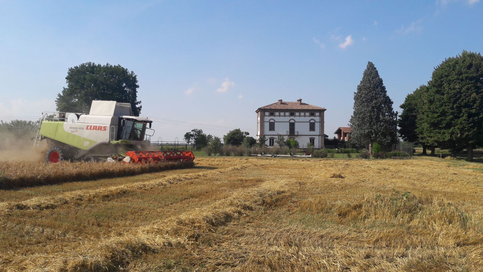 Impazza l’estate: al via la trebbiatura degli Orzi da birra italiani