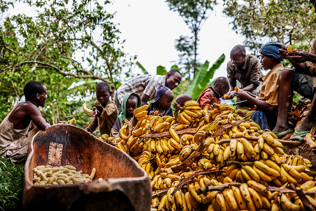 Banana & Banane: tutte le sfaccettature della tradizione africana