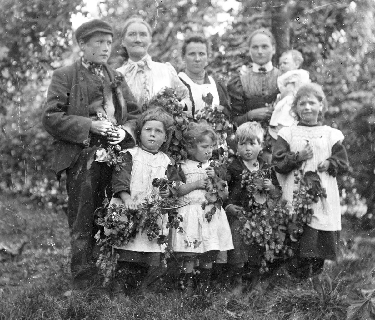 Canterbury Whitebine: il luppolo con oltre 200 anni di storia!