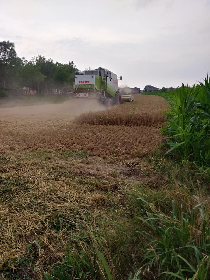 Alle porte di Mantova:l’Agribirrificio La Contea ed il sogno di essere autoctoni!