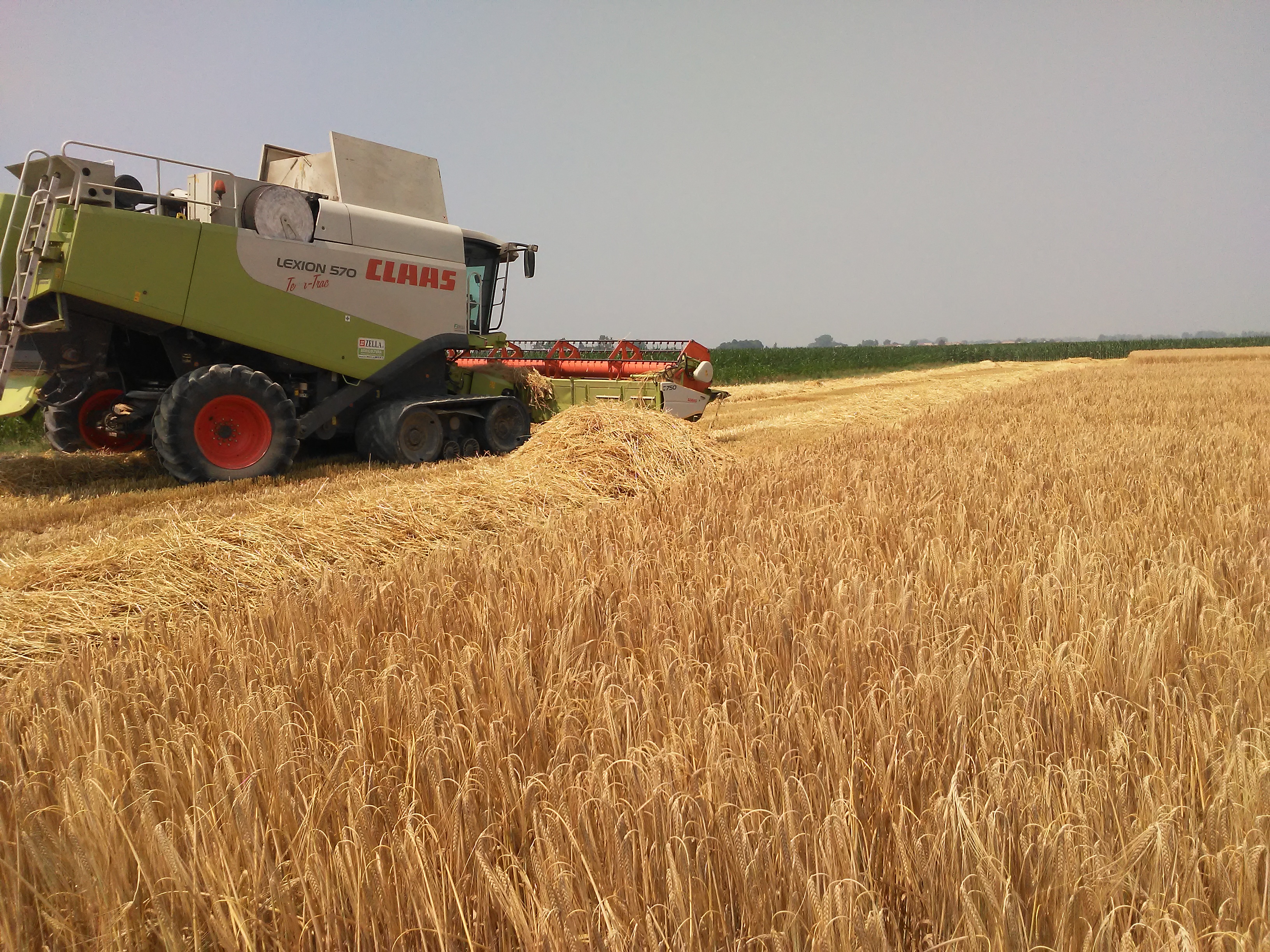 Il progetto per salvare la birra dagli effetti del cambiamento climatico