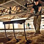 Warminster: il fascino della maltazione tradizionale, a pavimento!