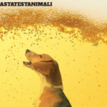 Asahi sospende i test sugli animali!