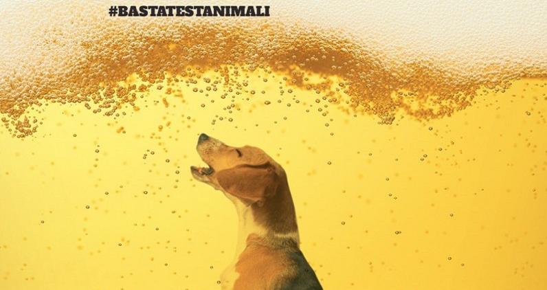 Asahi sospende i test sugli animali!