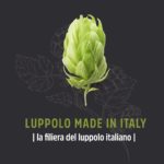 Dall'Umbria una grande sfida per produrre luppolo Made in Italy