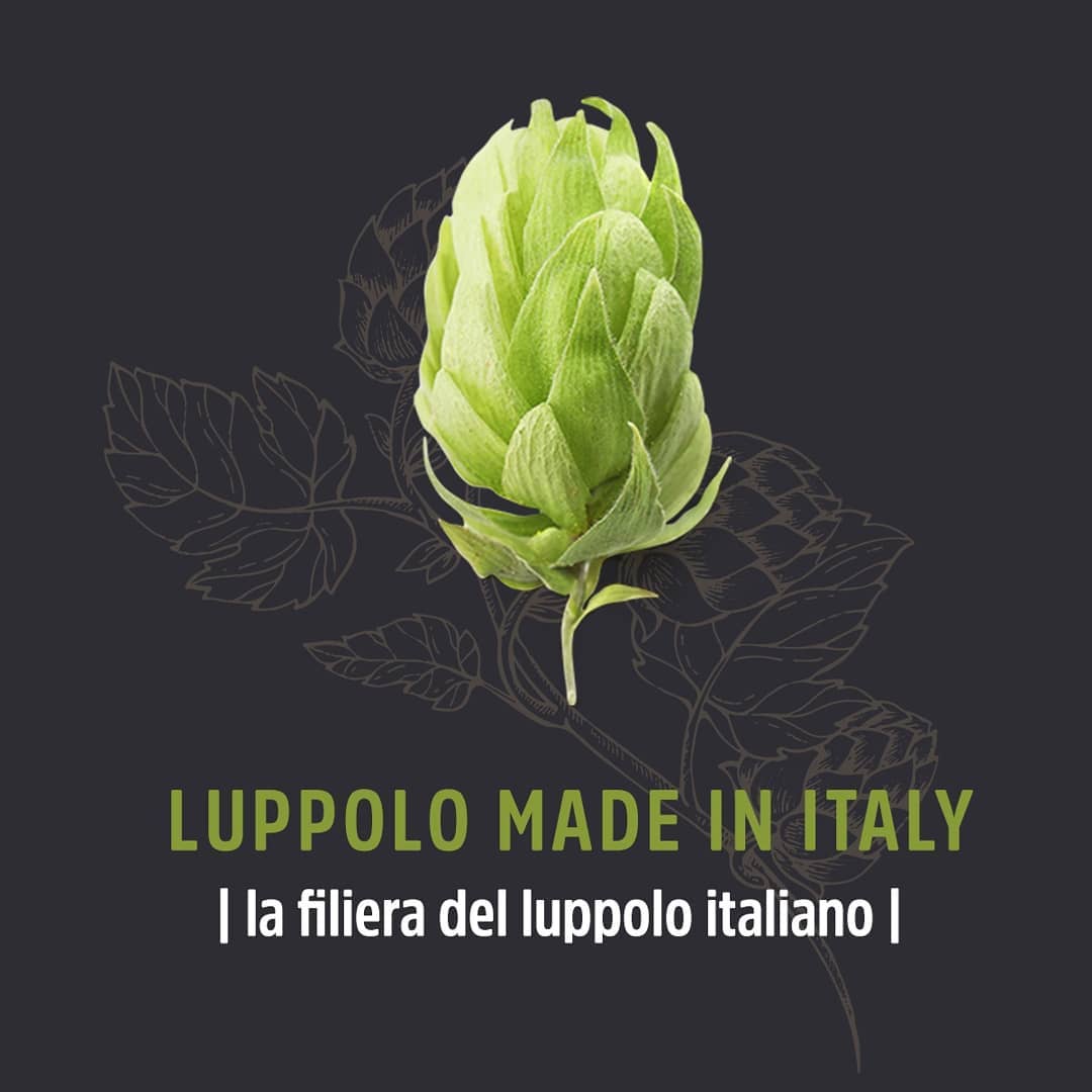 Dall’Umbria una grande sfida per produrre luppolo Made in Italy