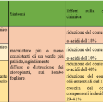 Virus e viroide nel luppolo: un approfondimento