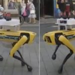 Spot: Arriva il cane-robot che serve le birre ai clienti!