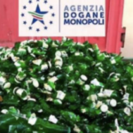 Covid: distrutte migliaia di bottiglie di birra scadute