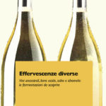 Da Michela Cimatoribus "EFFERVESCENZE DIVERSE", libro su vini ancestrali, birre acide, sidro e idromele!