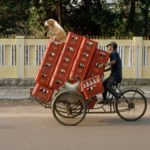 App Bibo: si sperimenta un modello di consegna cittadina ultraveloce della birra artigianale