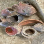 In Cina si faceva birra 9.000 anni fa: l'incredibile scoperta archeologica!