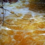 Hawaii, un fiume si riempe di birra: per gli ambientalisti "c'è odore di pub"