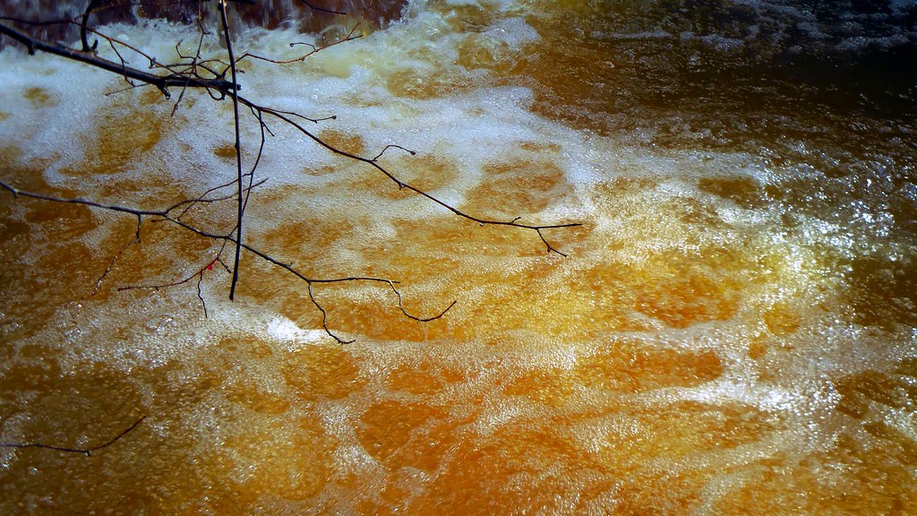 Hawaii, un fiume si riempe di birra: per gli ambientalisti “c’è odore di pub”