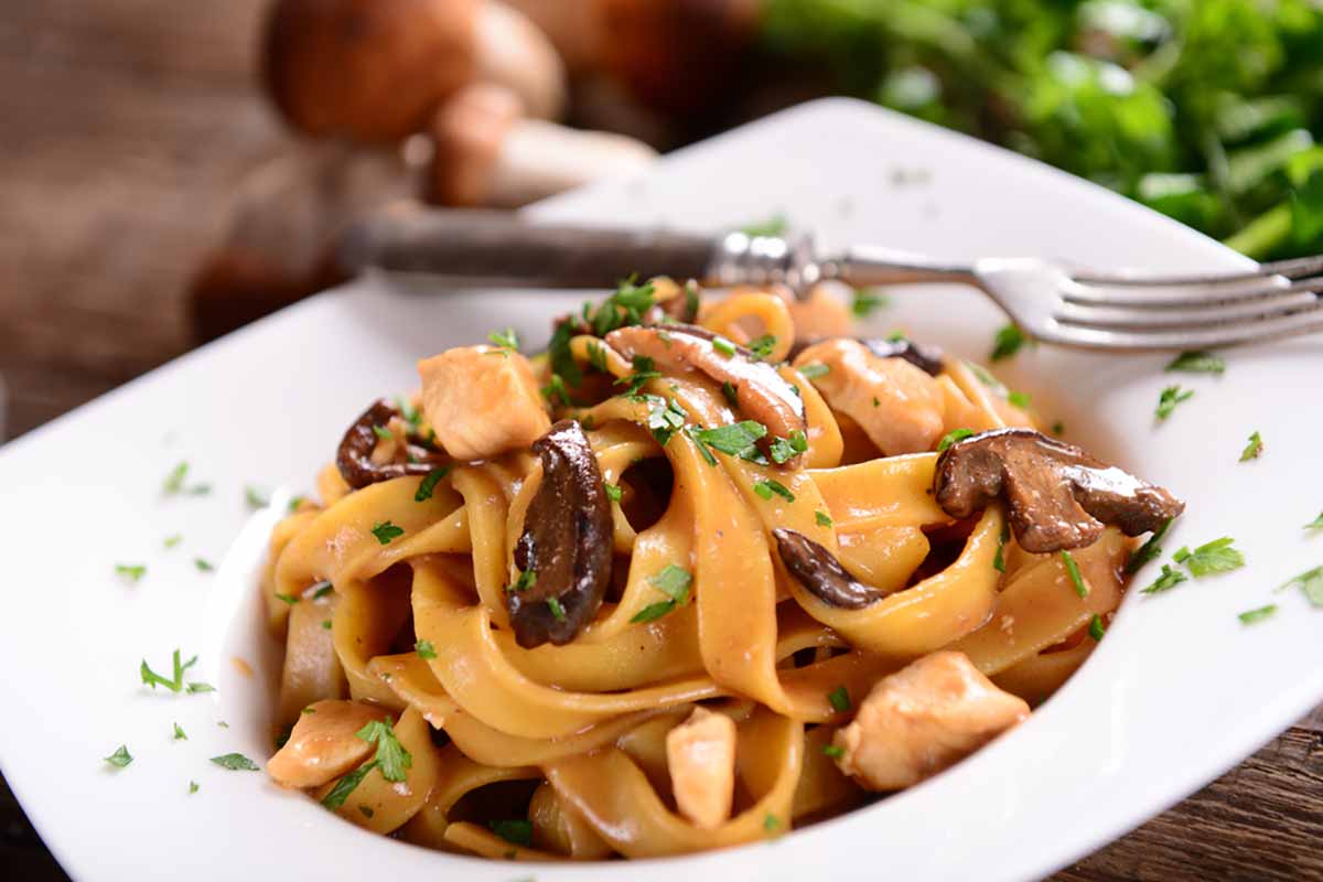 Ragù di funghi con mozzarella di bufala ai profumi di stout