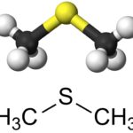 06_DMS_chem1