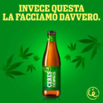 Referendum cannabis bocciato: Ceres lancia una birra di protesta