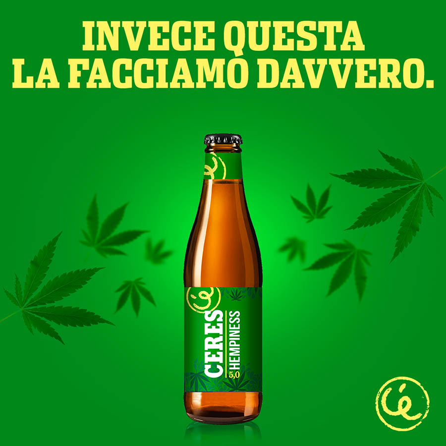 Referendum cannabis bocciato: Ceres lancia una birra di protesta