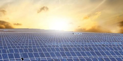 Inaugurato il parco solare di Ab Inbev: tappa importante per la transizione energetica della multinazionale