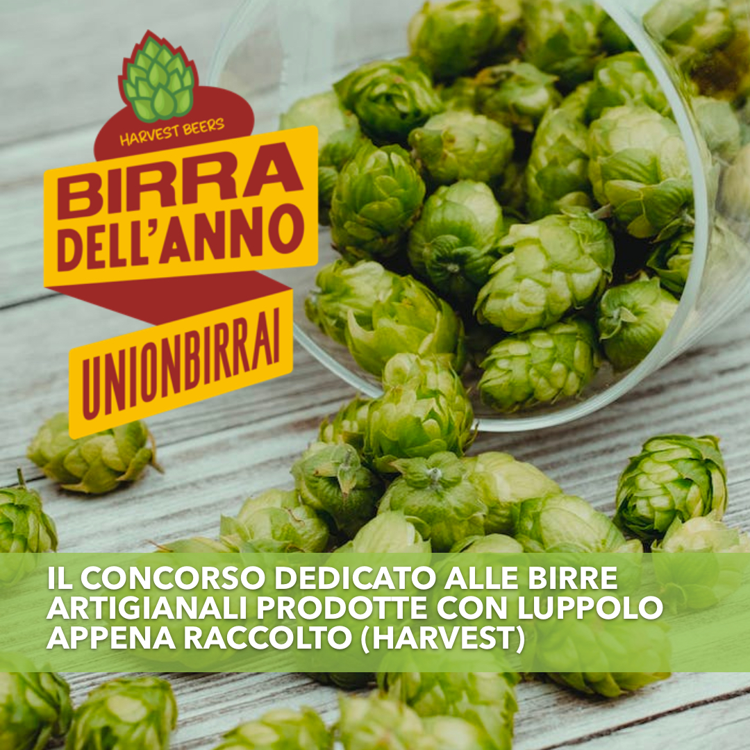 Birra dell’Anno presenta Harvest Beers, il concorso dedicato alle birre artigianali prodotte con luppolo appena raccolto!