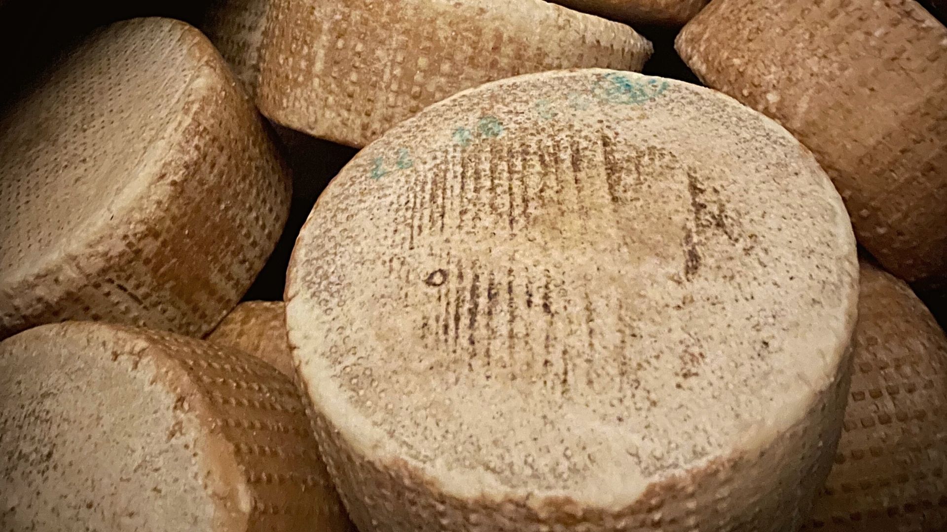 Nasce Cacio Birraio: il formaggio incontra la birra in edizione limitata!