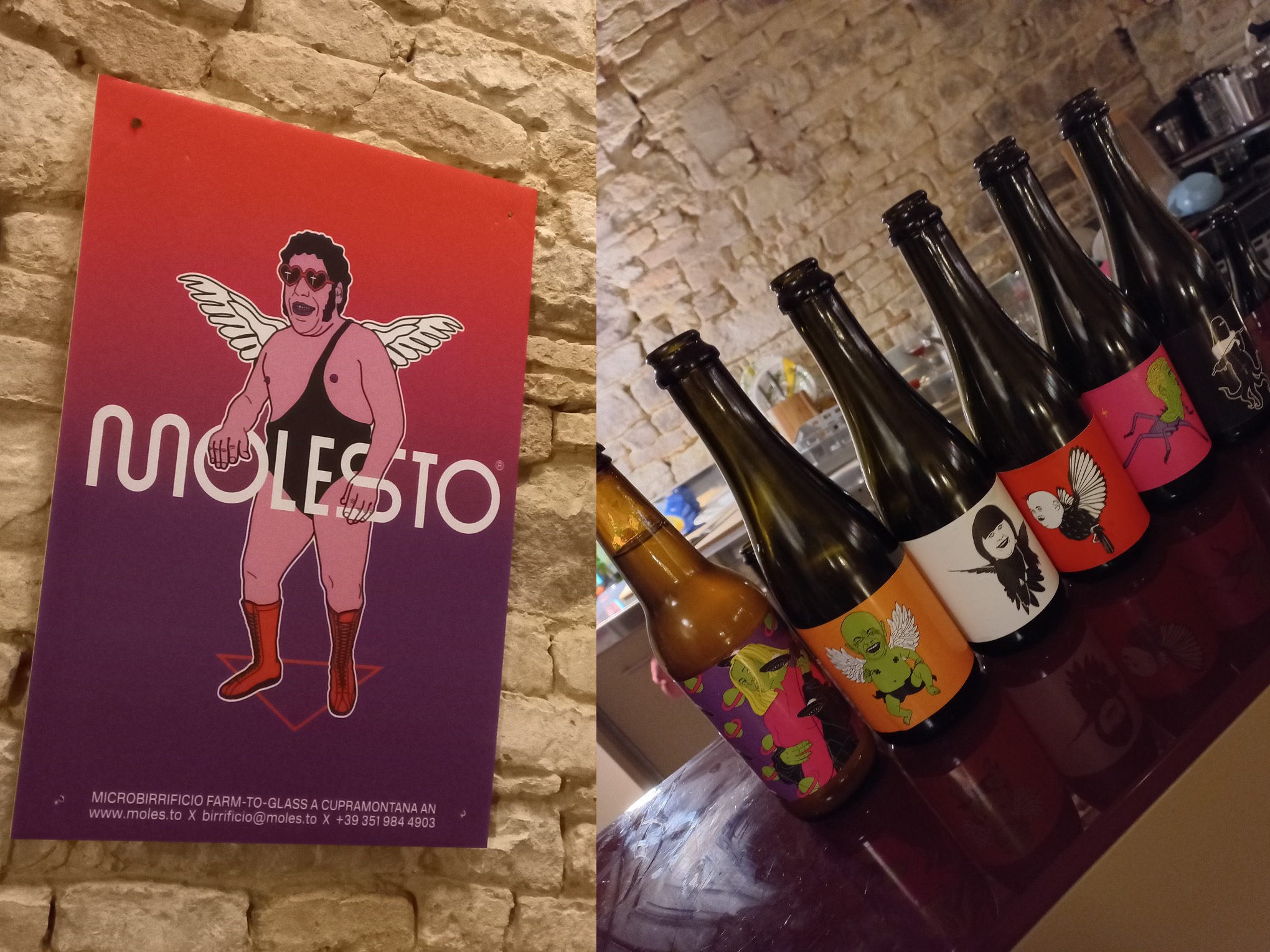 Birrificio Molesto: la sfida birraria nella patria del Verdicchio