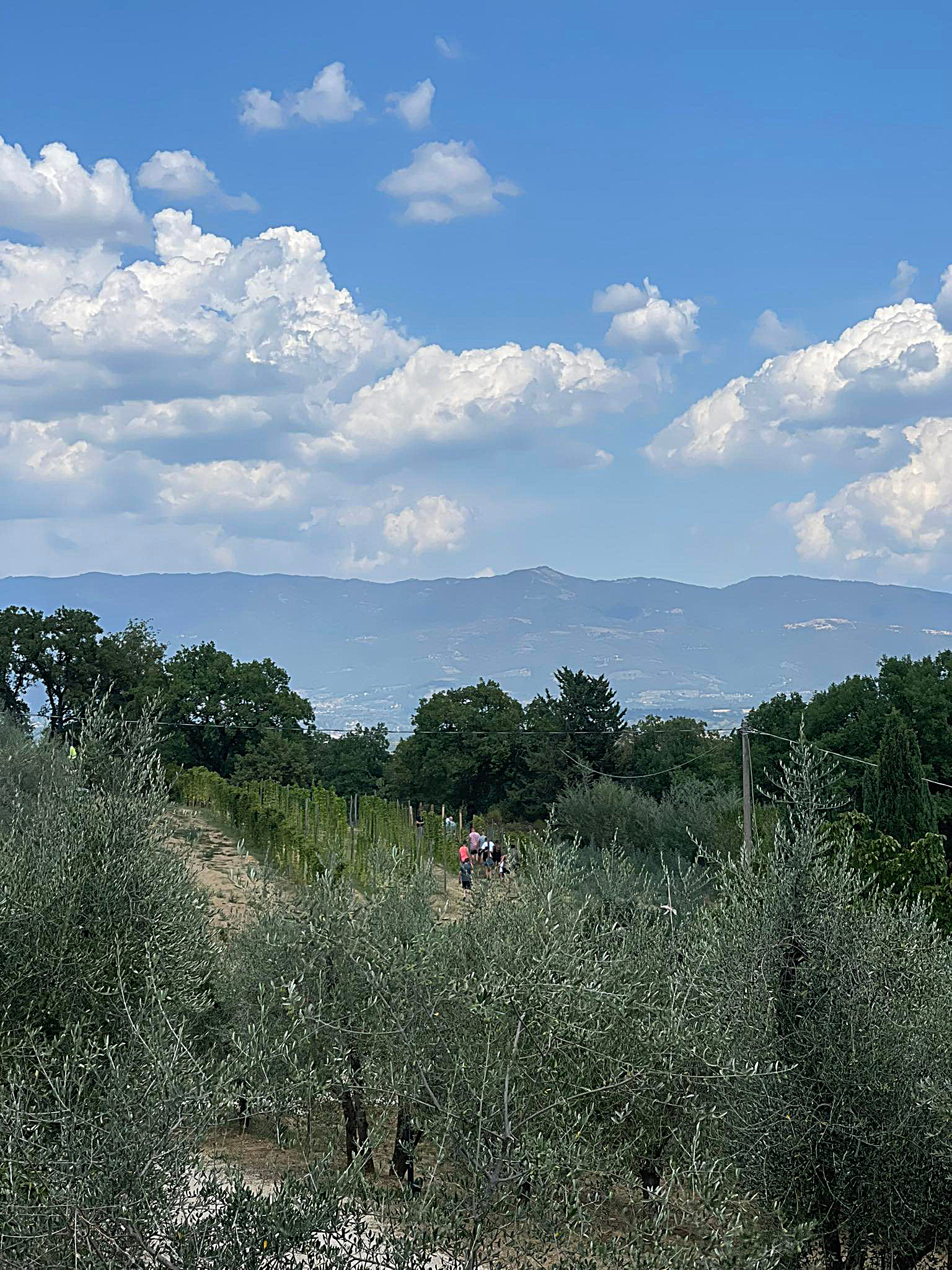 Birra artigianale e turismo brassicolo in Toscana: cresce la domanda e i birrifici sono sempre più competitivi