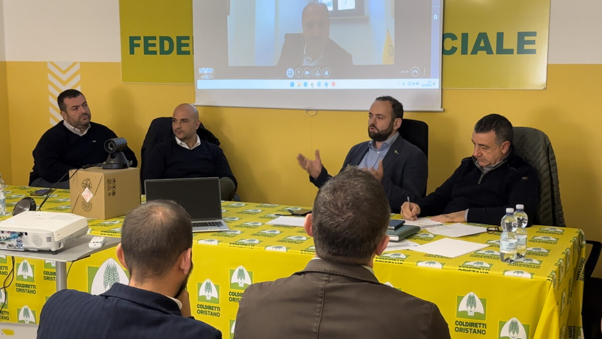 Oristano: riuniti cerealicoltori e birrifici per lavorare su una filiera ‘Made in Sardinia’
