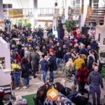 Exme-beer-festival-manifestazione