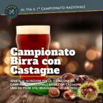 La locandina del campionato nazionale